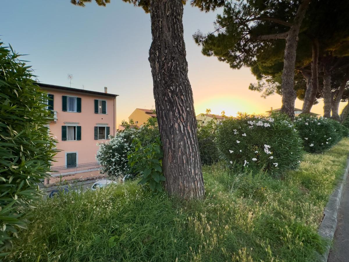 La Casa Di Eli Appartamenti Pisa Kültér fotó