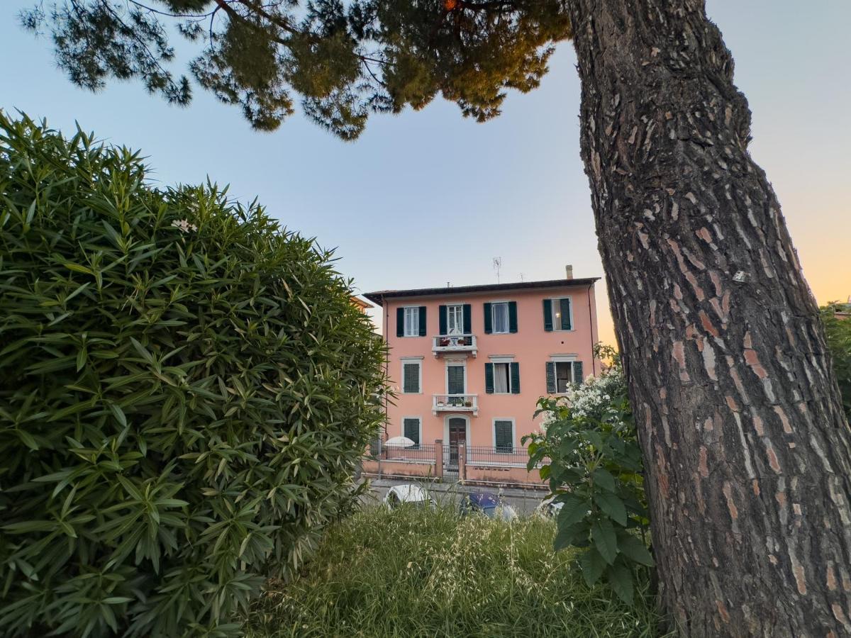 La Casa Di Eli Appartamenti Pisa Kültér fotó